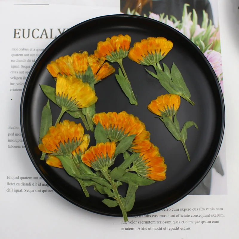 60pcs 4-6cm Side Pressed Dried - Dried Flower Bookmark 评论和价格