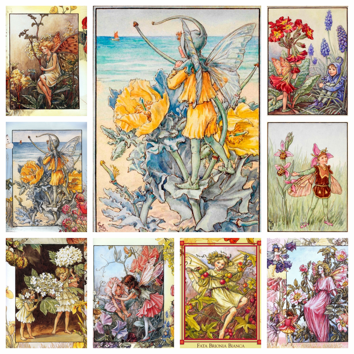 Cicely Mary Barker Artwork Flo - Photo Mosaic Print 评论和价格