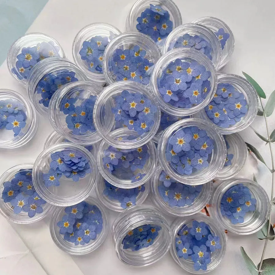 100pcs Pressed Dried Mini Blue - Dried Flower Bookmark 评论和价格