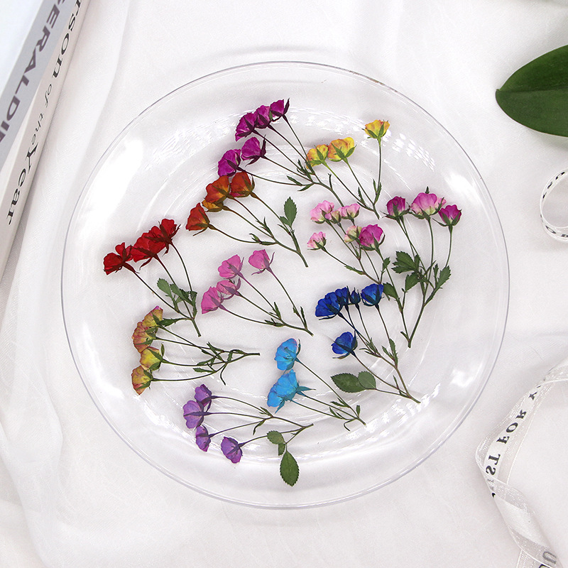 36X Pressed Dried Multi-heads  - Dried Flower Bookmark 评论和价格