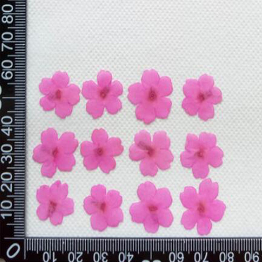 60pcs 1-2cm Pressed Dried Dyed - Dried Flower Bookmark 评论和价格