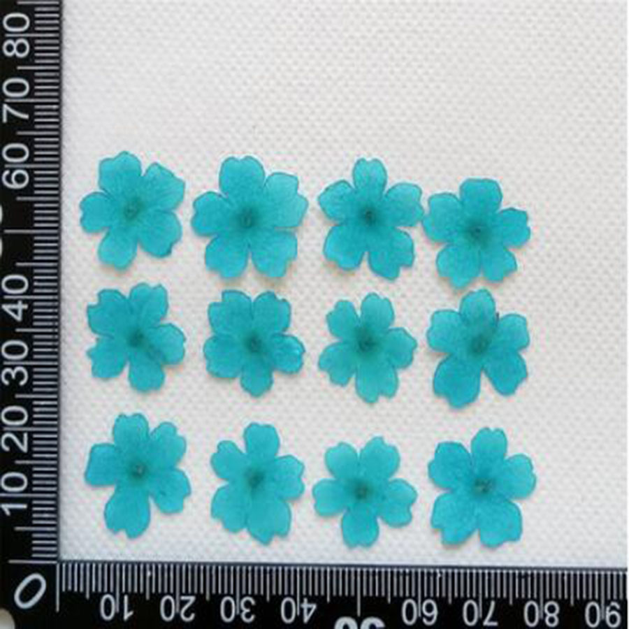 60pcs 1-2cm Pressed Dried Dyed - Dried Flower Bookmark 评论和价格