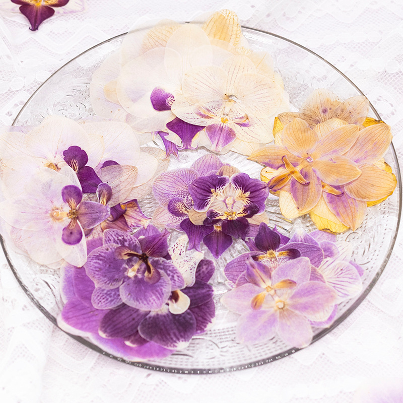 4 Pcs Pressed Dried Phalaenops - Dried Flower Bookmark 评论和价格