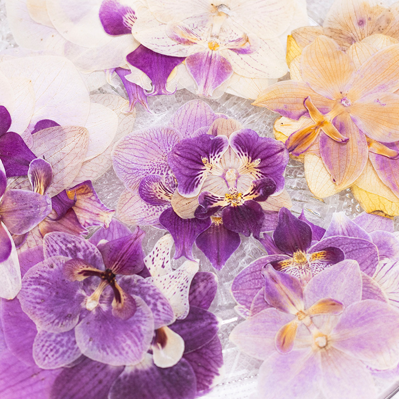 4 Pcs Pressed Dried Phalaenops - Dried Flower Bookmark 评论和价格