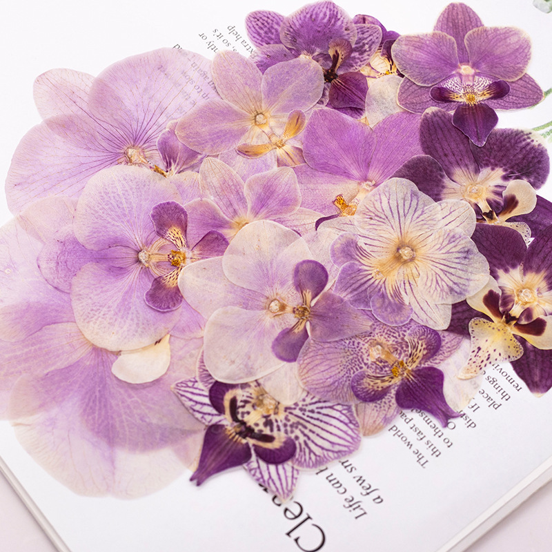 4 Pcs Pressed Dried Phalaenops - Dried Flower Bookmark 评论和价格