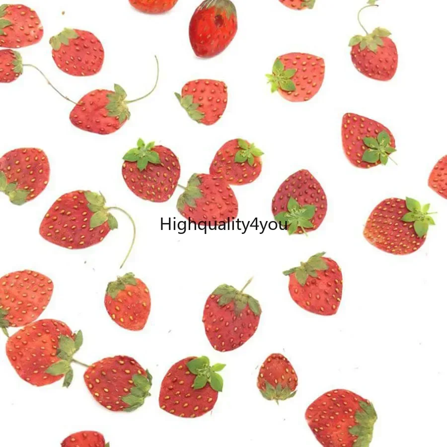 10pcs Dried Pressed Mini Fruit - Dried Flower Bookmark 评论和价格