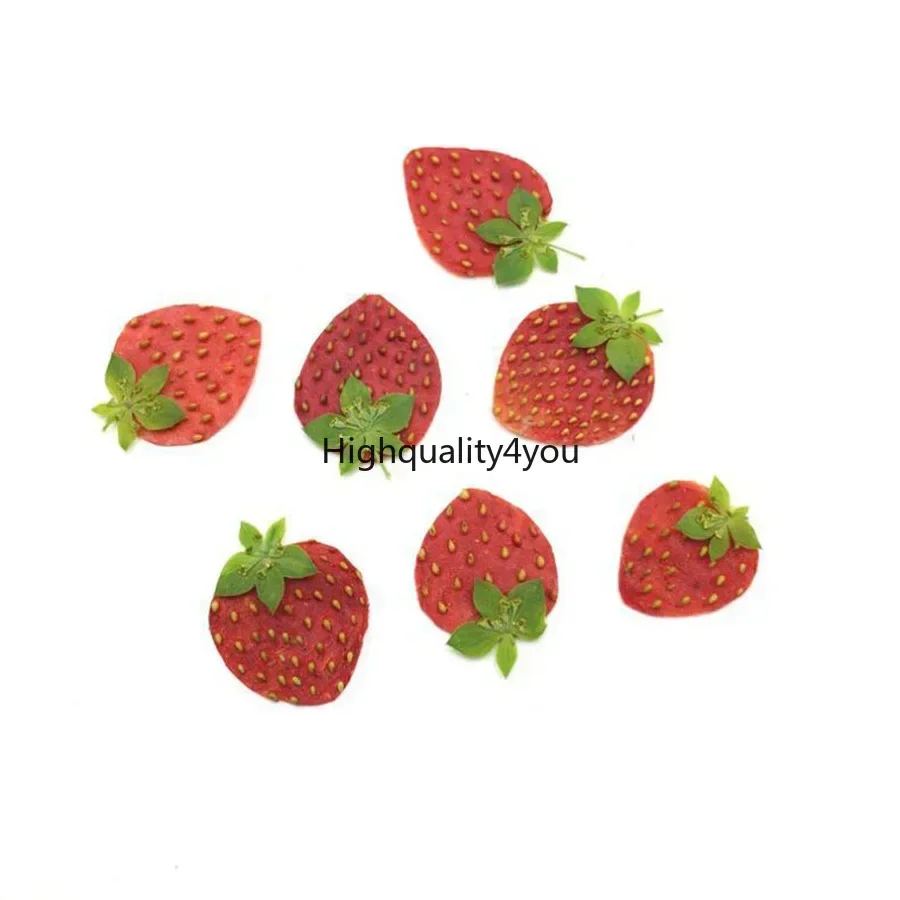 10pcs Dried Pressed Mini Fruit - Dried Flower Bookmark 评论和价格