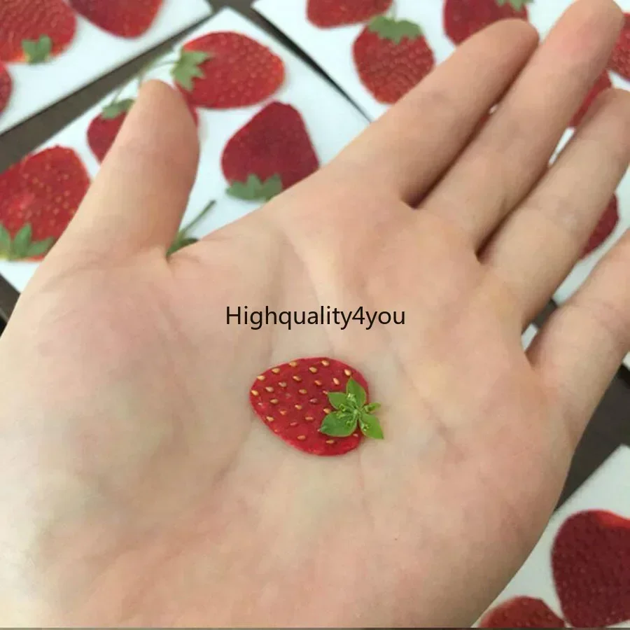 10pcs Dried Pressed Mini Fruit - Dried Flower Bookmark 评论和价格